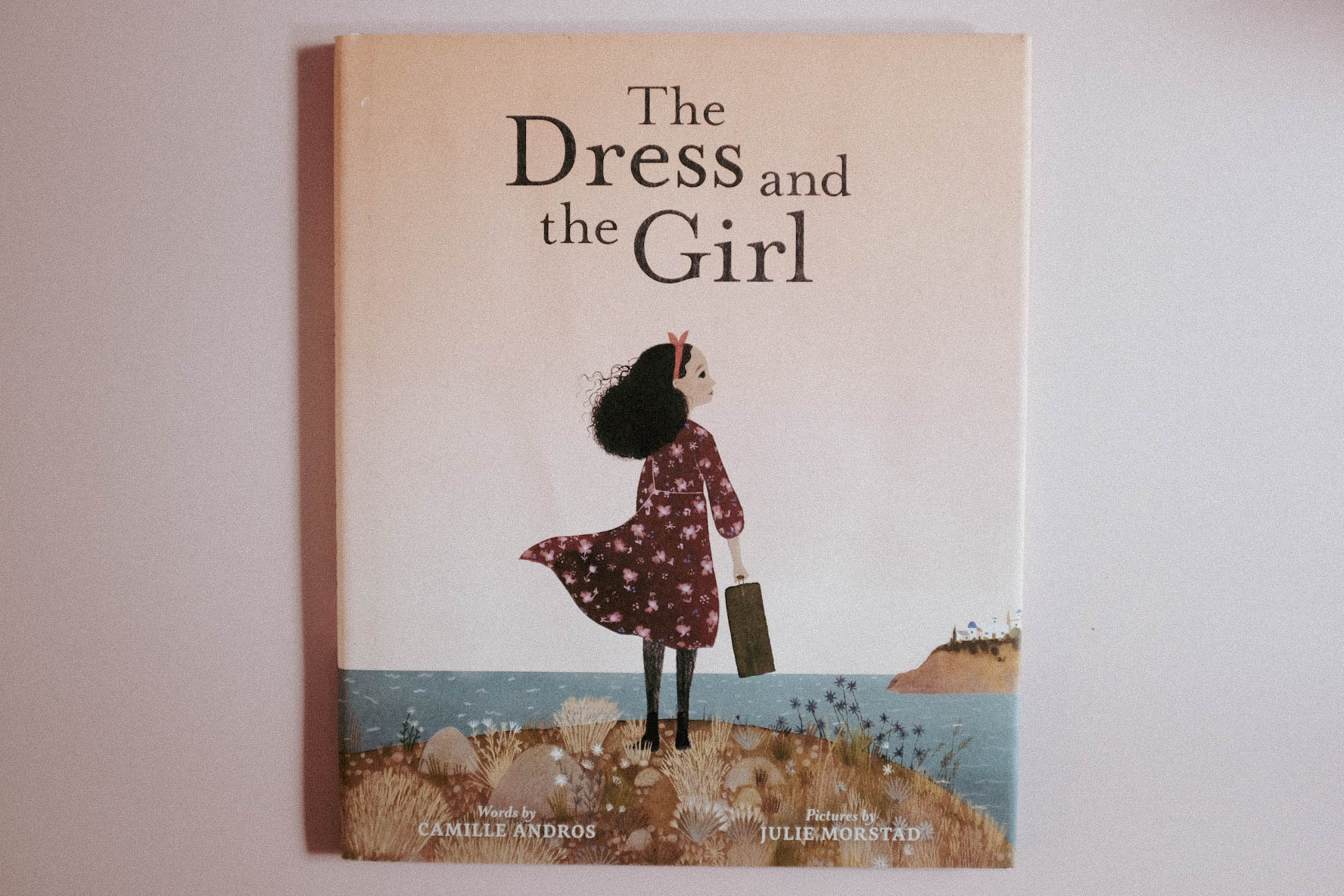 Book cover for The Dress and the Girl by Camille Andros. Illustrated by Julie Morstad.