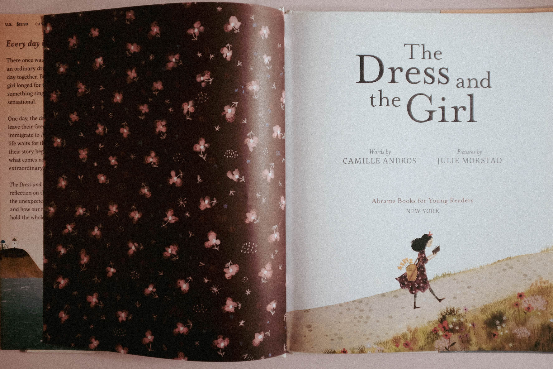 Endpaper for A preview of The Dress and the Girl by Camille Andros. Illustrated by Julie Morstad.